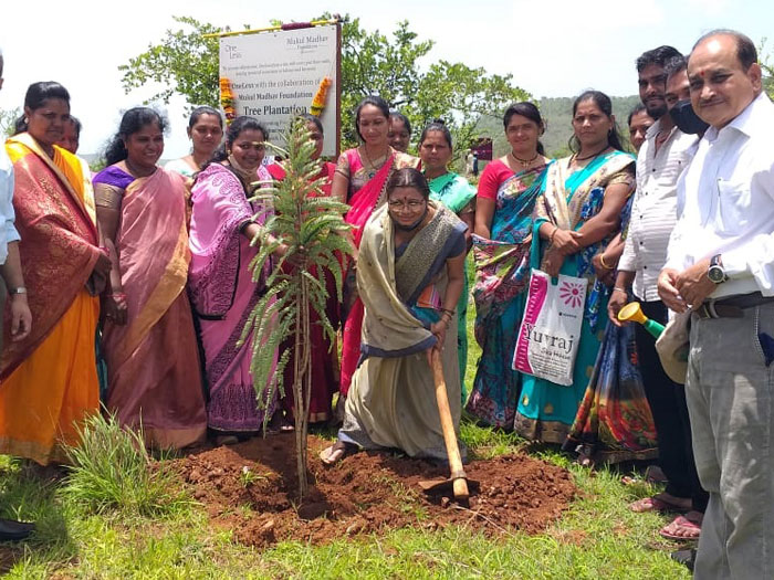 Tree Plantation Drive Ngos For Tree Plantation In India Mmf