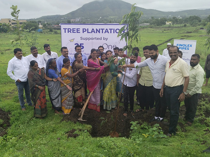 Tree Plantation Drive Ngos For Tree Plantation In India Mmf